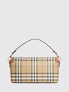 woman's handbag