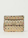woman's mini bag