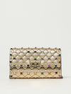 woman's mini bag