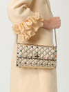 woman's mini bag