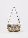 woman's mini bag