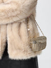 woman's mini bag