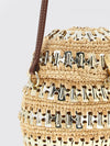 woman's mini bag