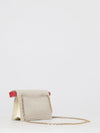 woman's mini bag