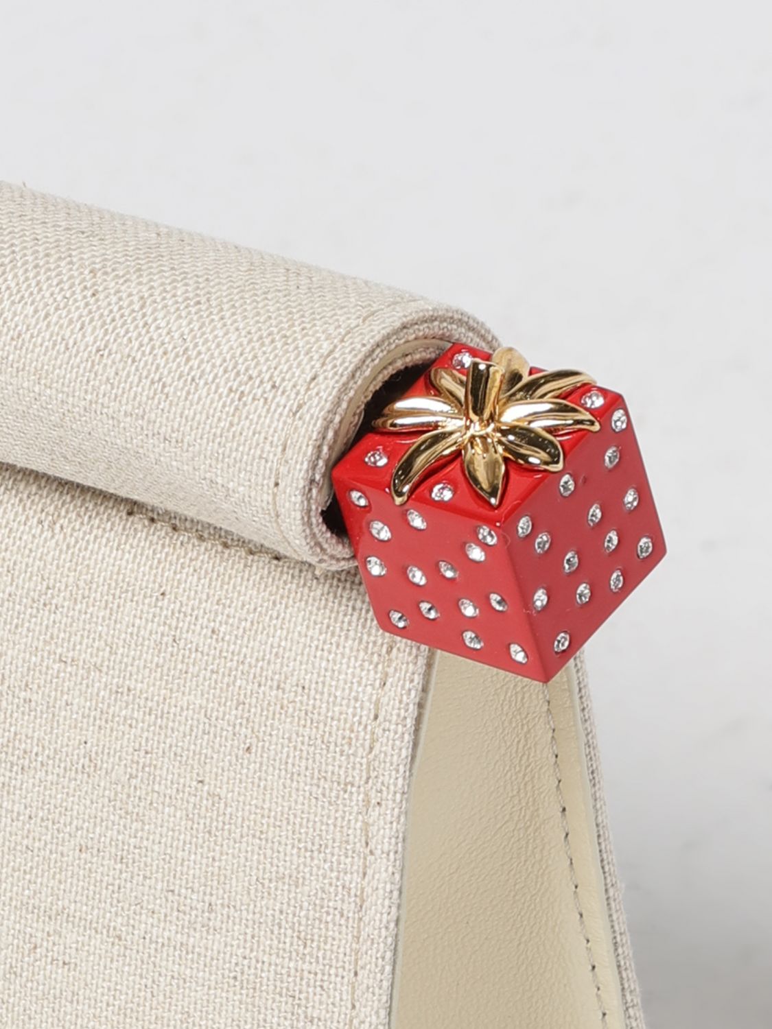 woman's mini bag