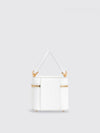 woman's mini bag