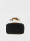 woman's mini bag