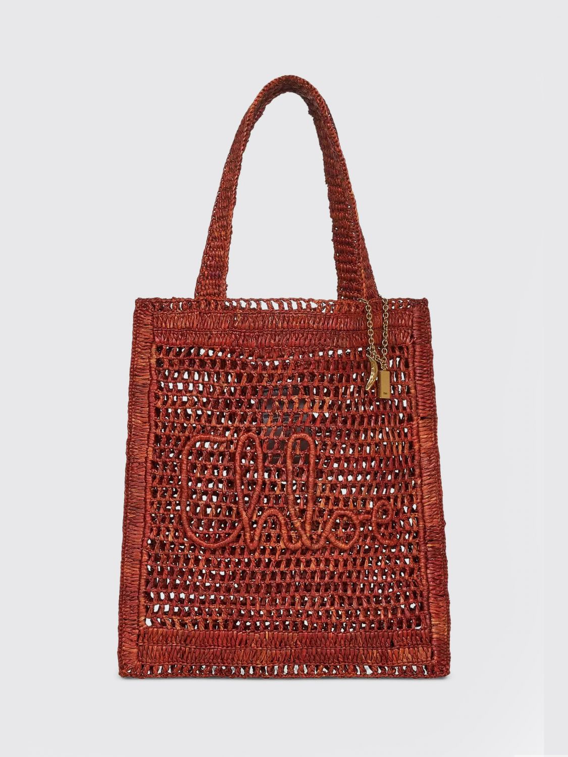woman's shoulder bag chloé