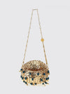 woman's mini bag