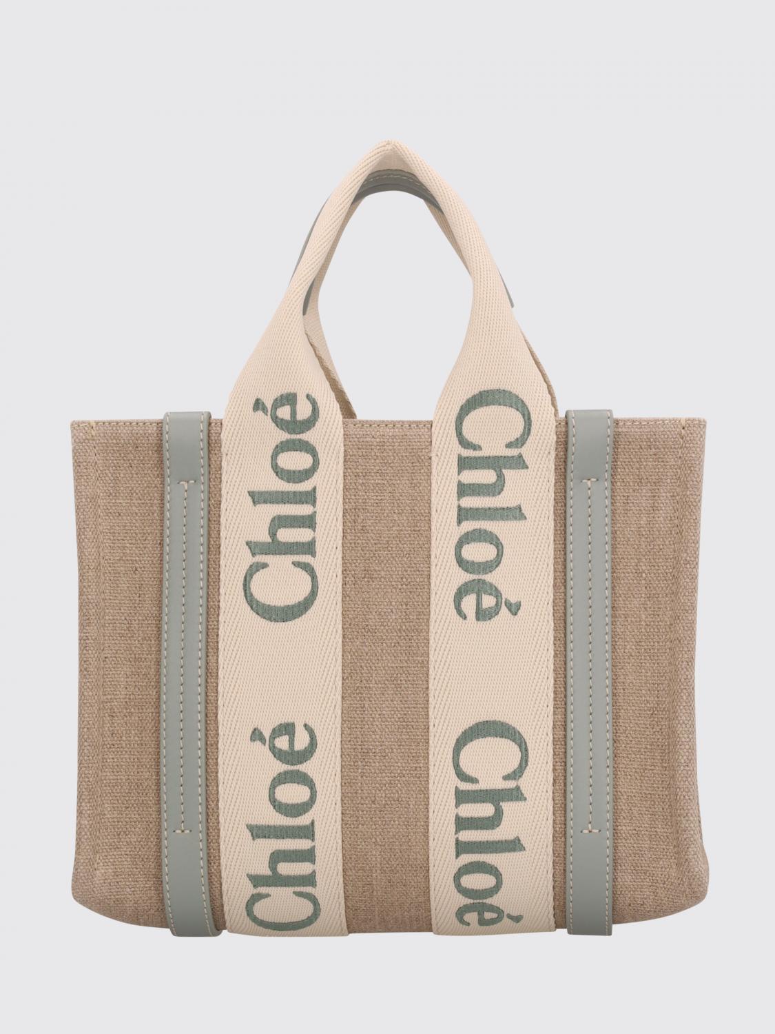 woman's handbag chloé