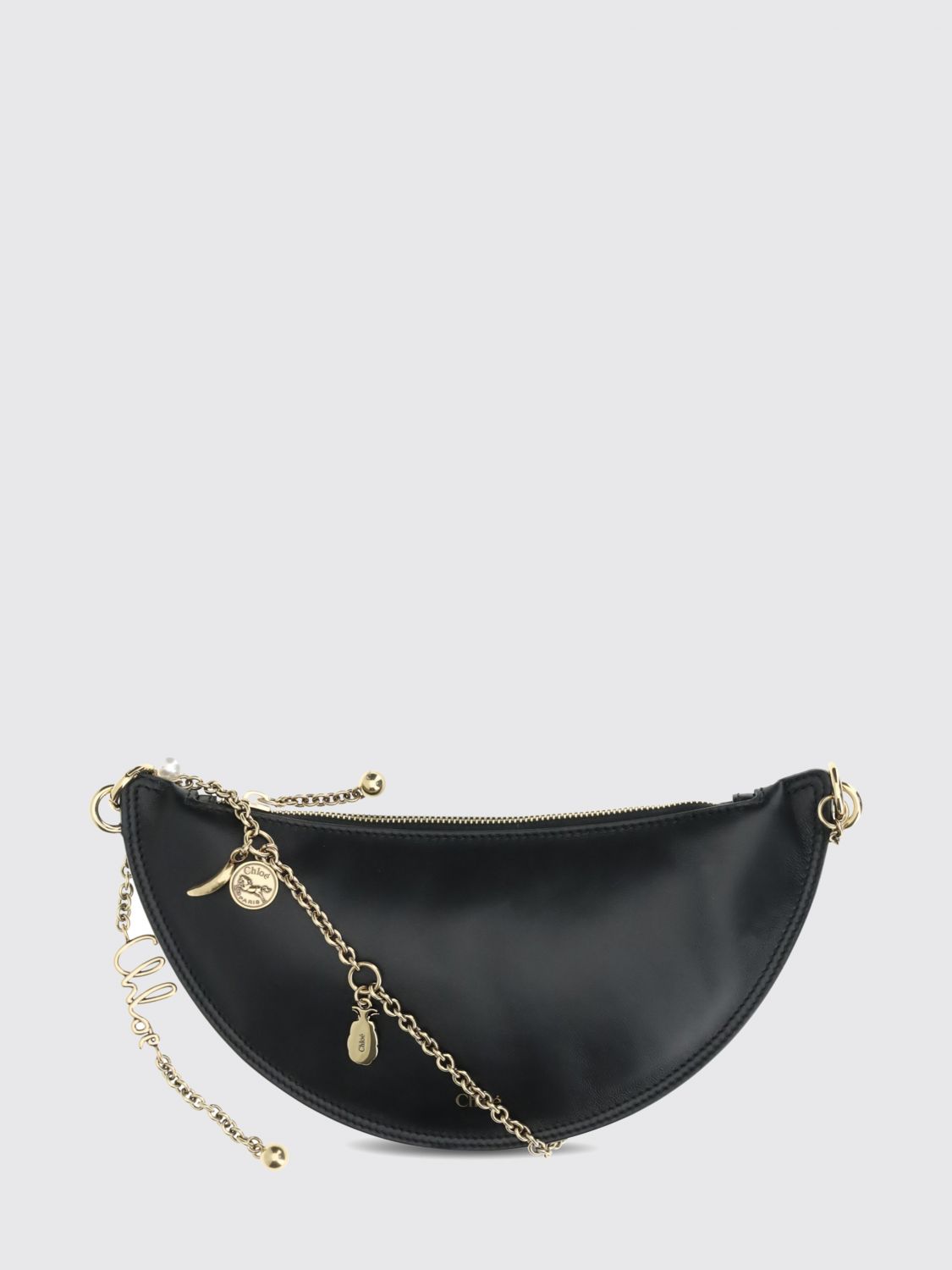 woman's shoulder bag chloé