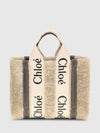 woman's handbag chloé