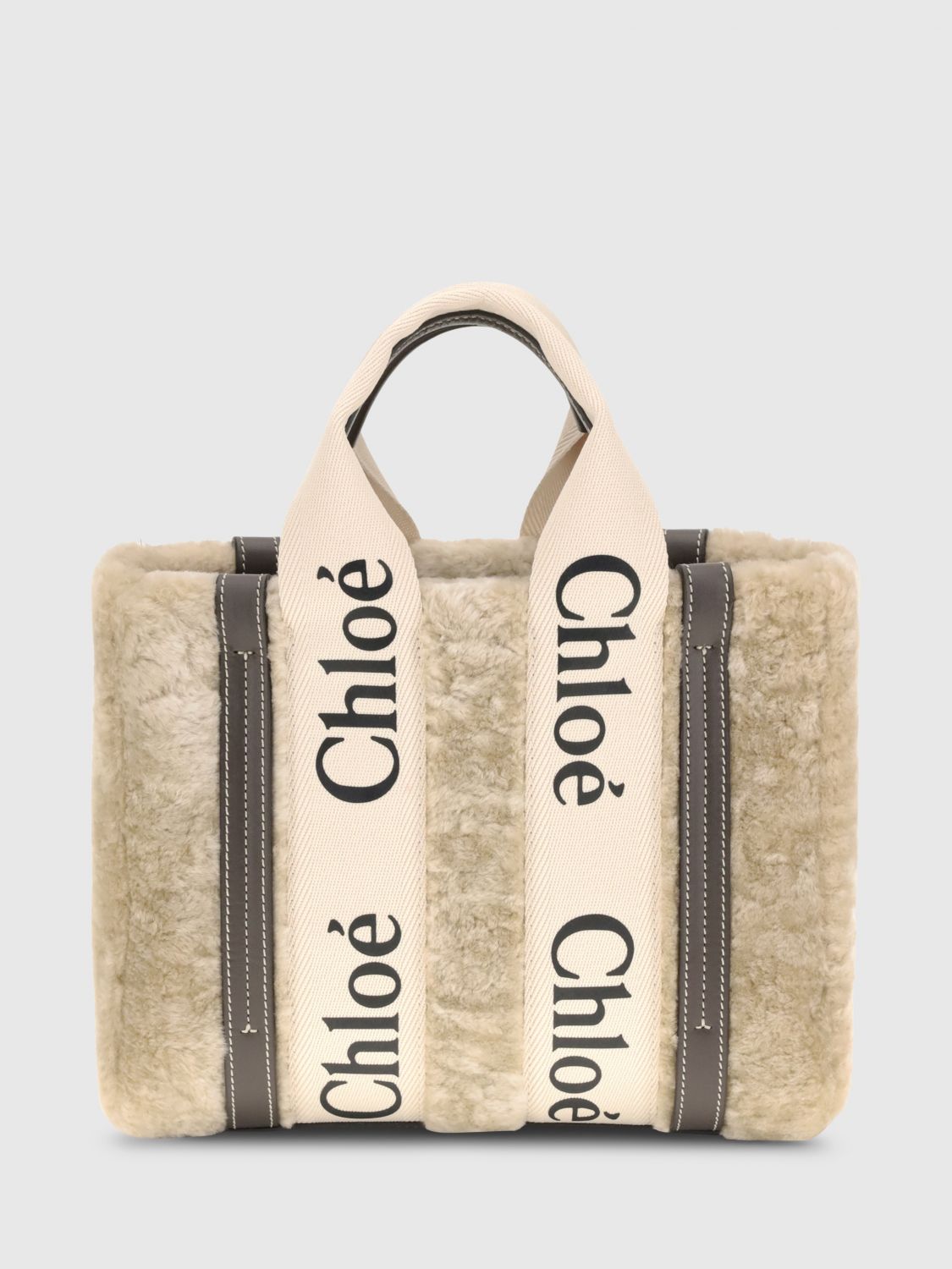 woman's handbag chloé