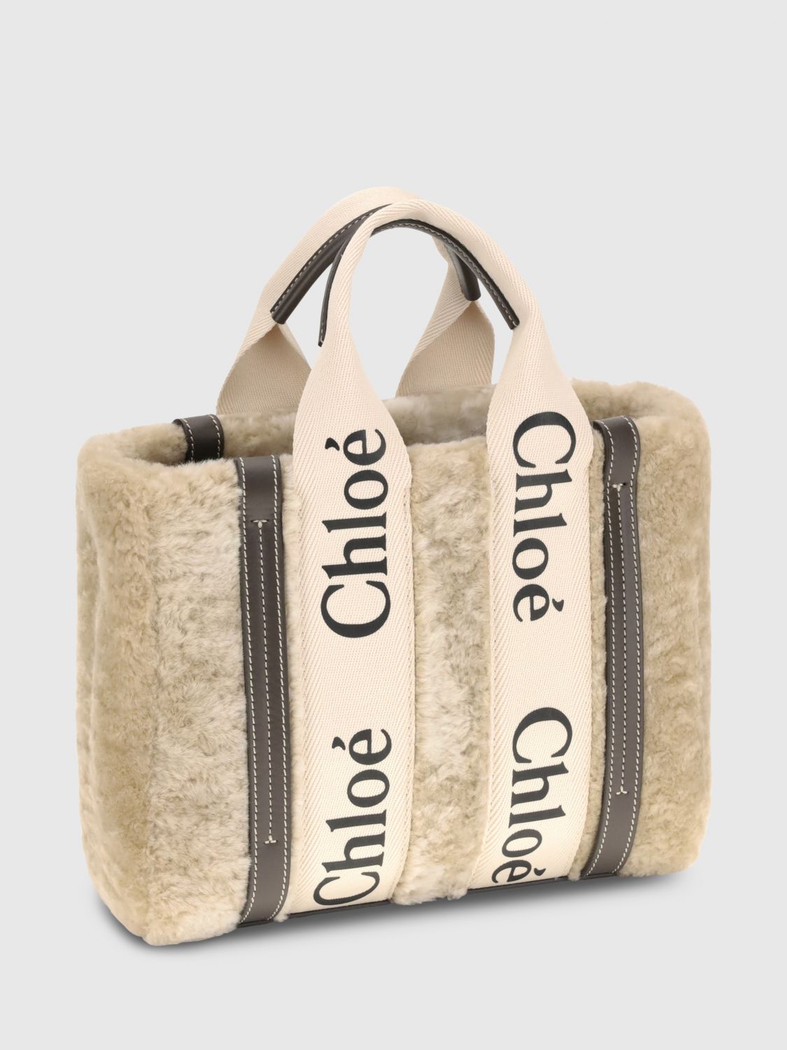 woman's handbag chloé