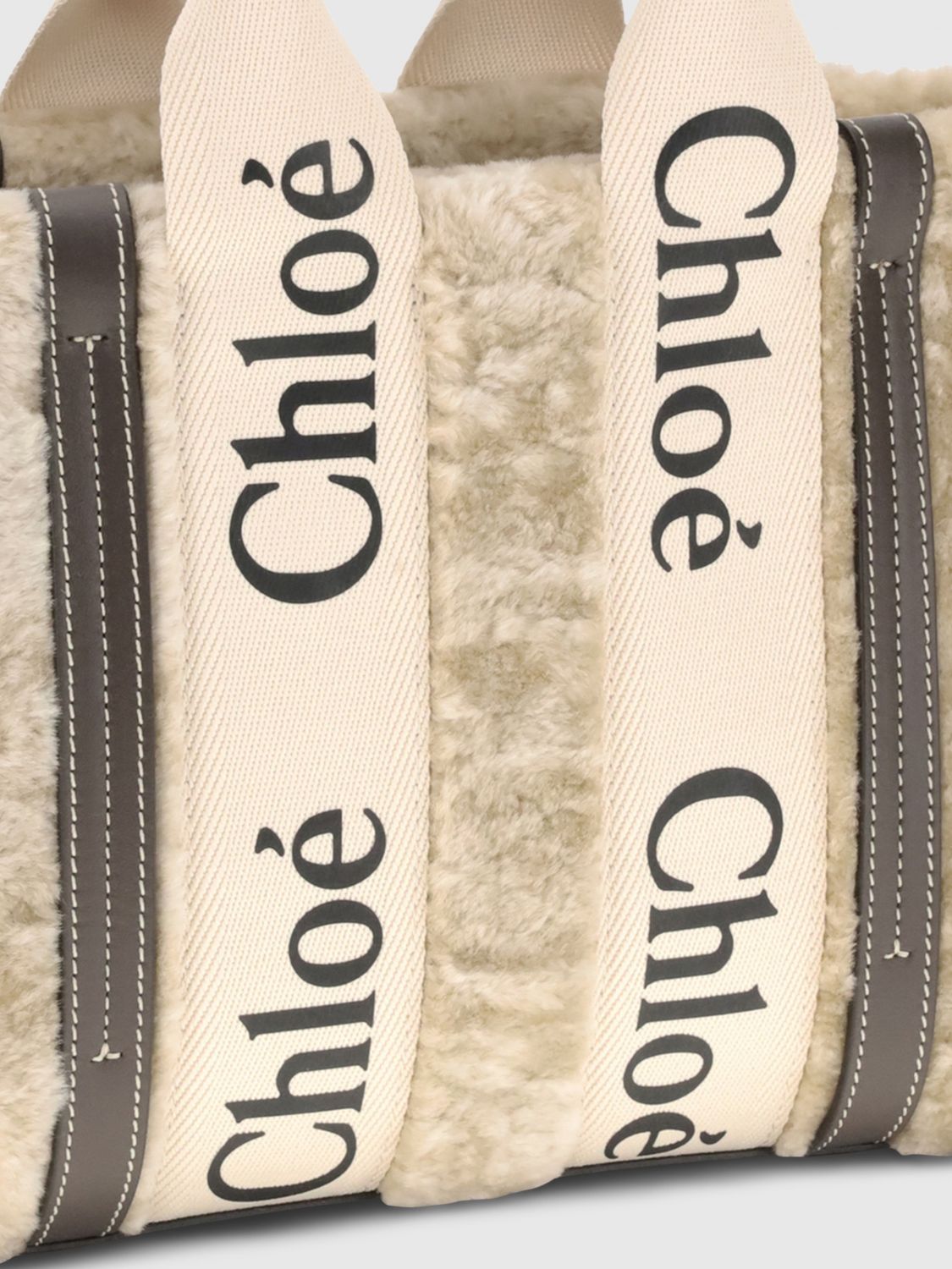woman's handbag chloé