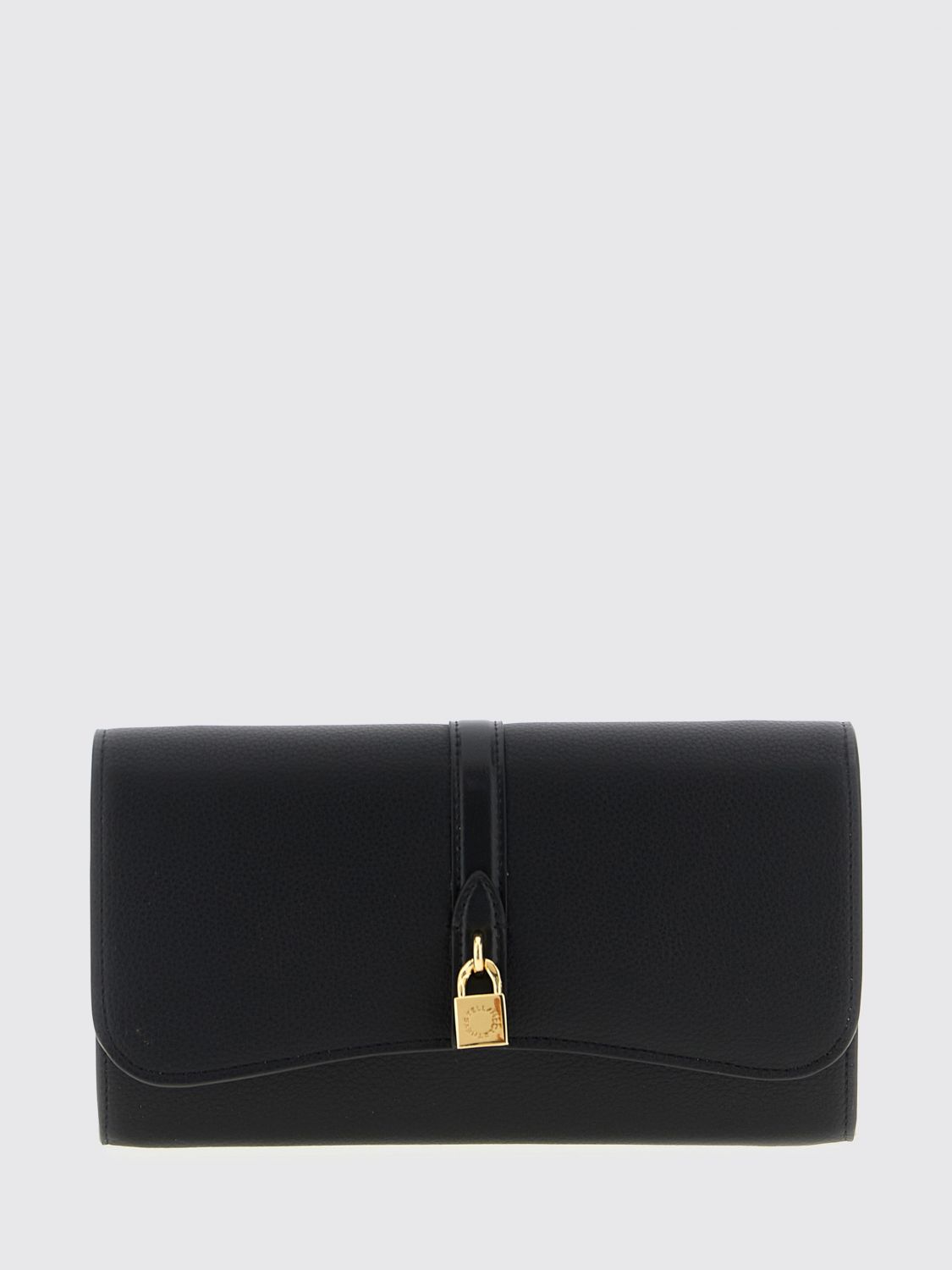 woman's mini bag