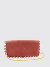 woman's mini bag