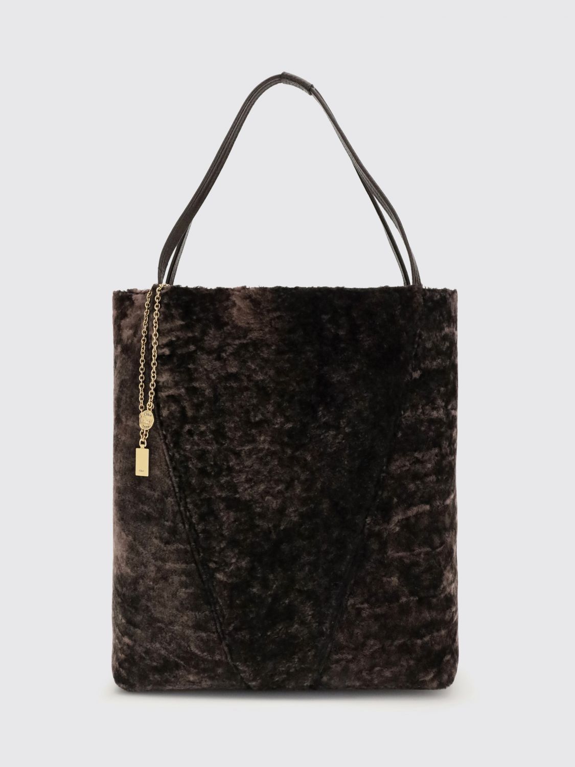 woman's tote bag chloé