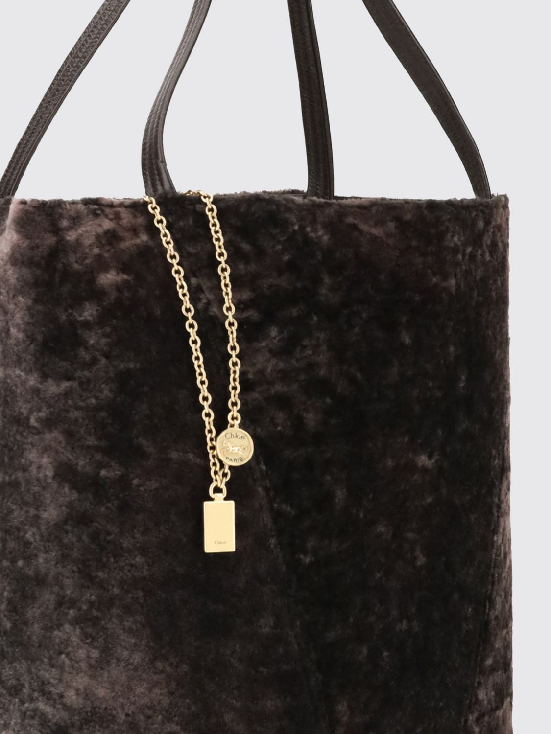 woman's tote bag chloé