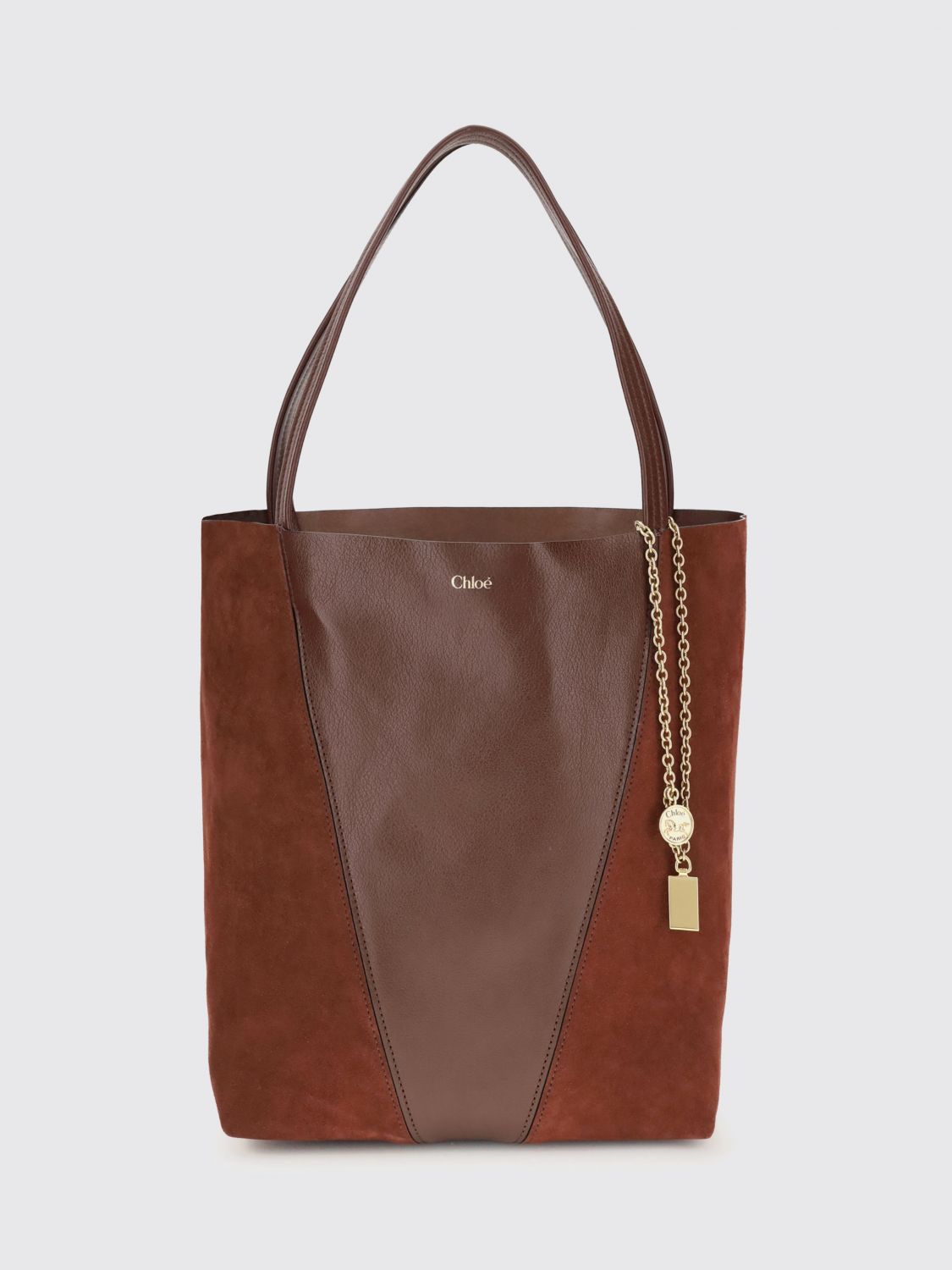 woman's tote bag chloé