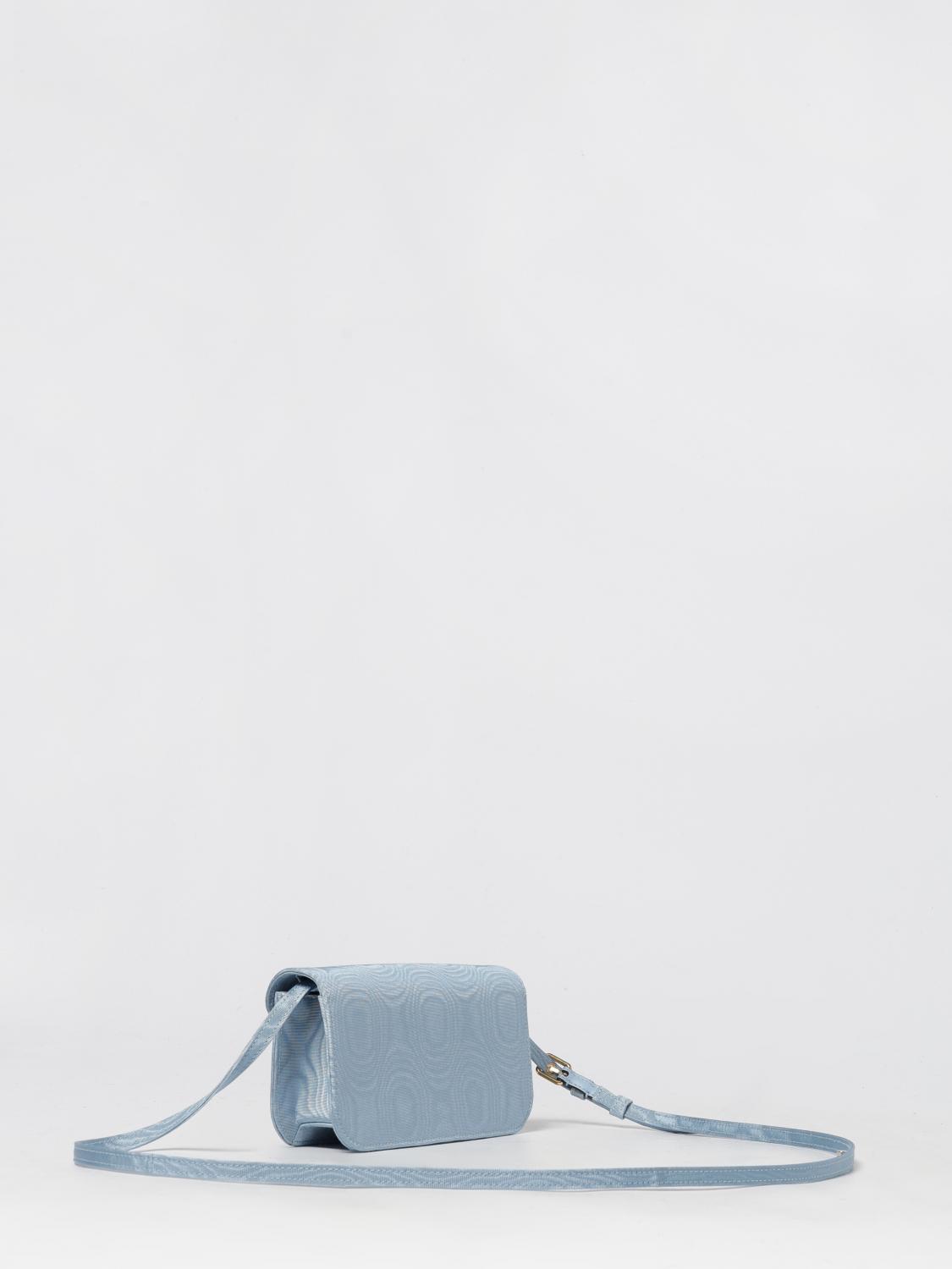 woman's mini bag
