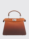 woman's mini bag