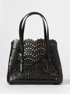 woman's handbag