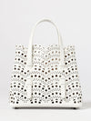 woman's mini bag