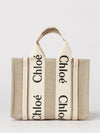 woman's handbag chloé