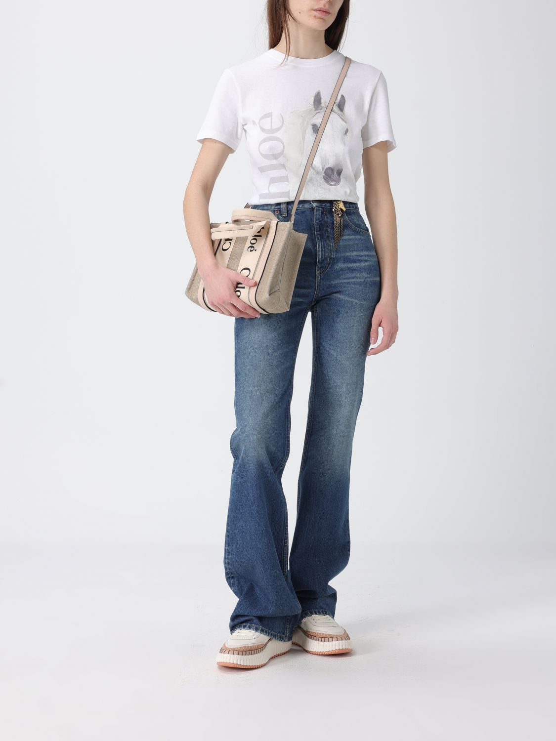 woman's handbag chloé