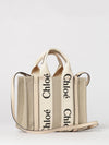 woman's handbag chloé