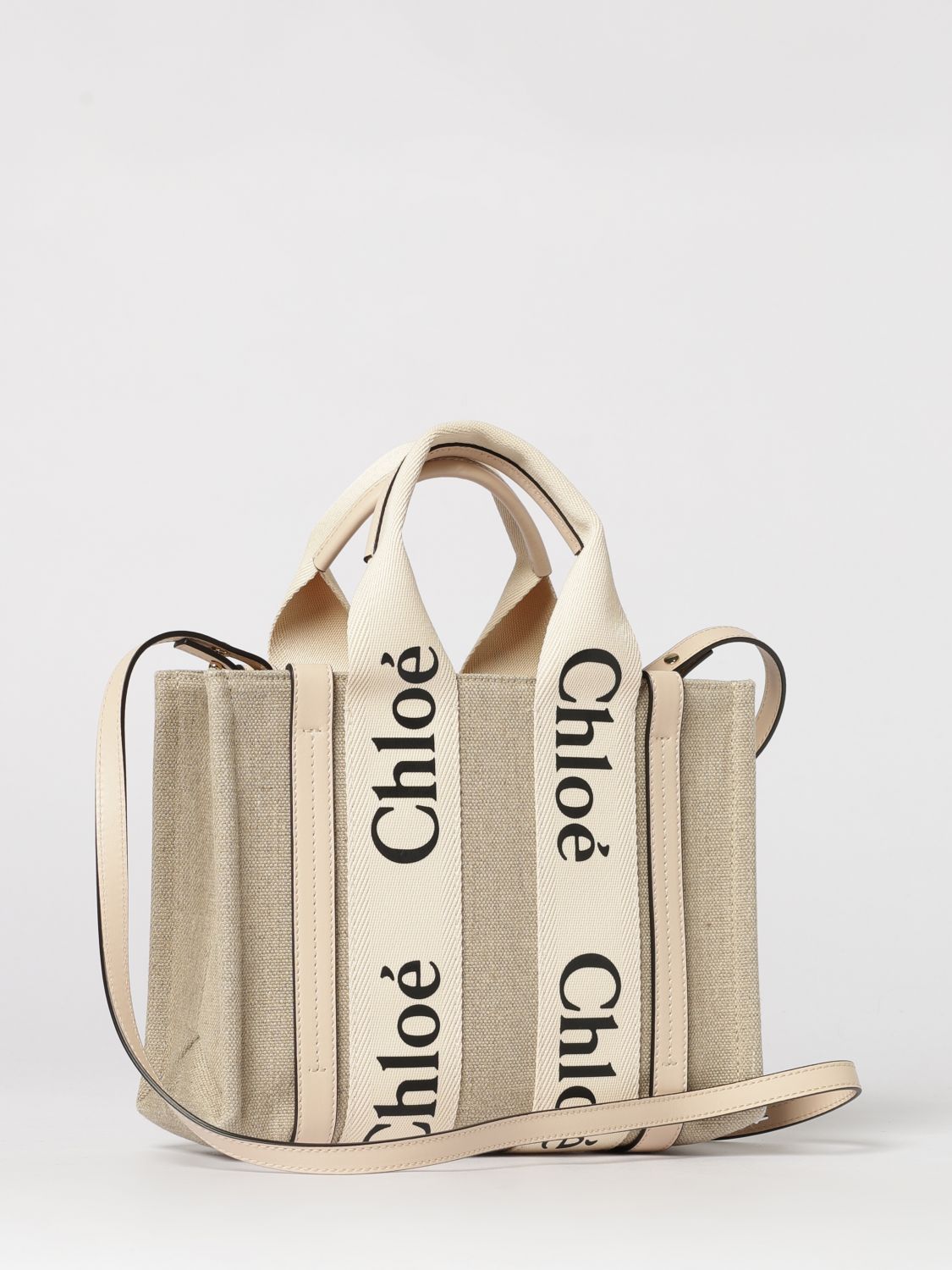 woman's handbag chloé