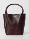 woman's mini bag chloé