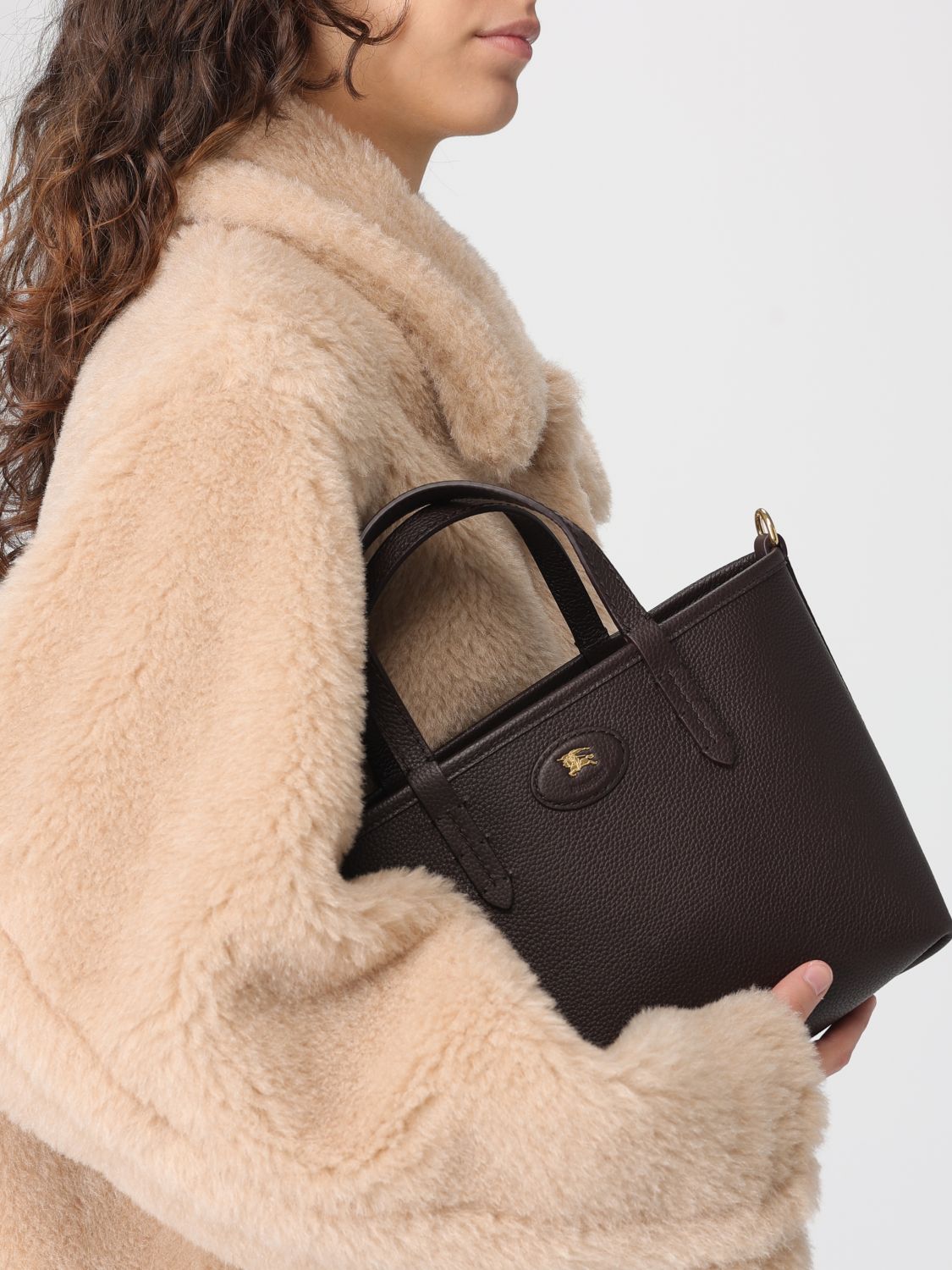 woman's handbag