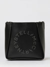 woman's mini bag