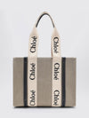 woman's shoulder bag chloé