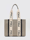 woman's shoulder bag chloé