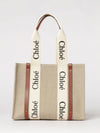 woman's shoulder bag chloé