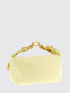 woman's mini bag