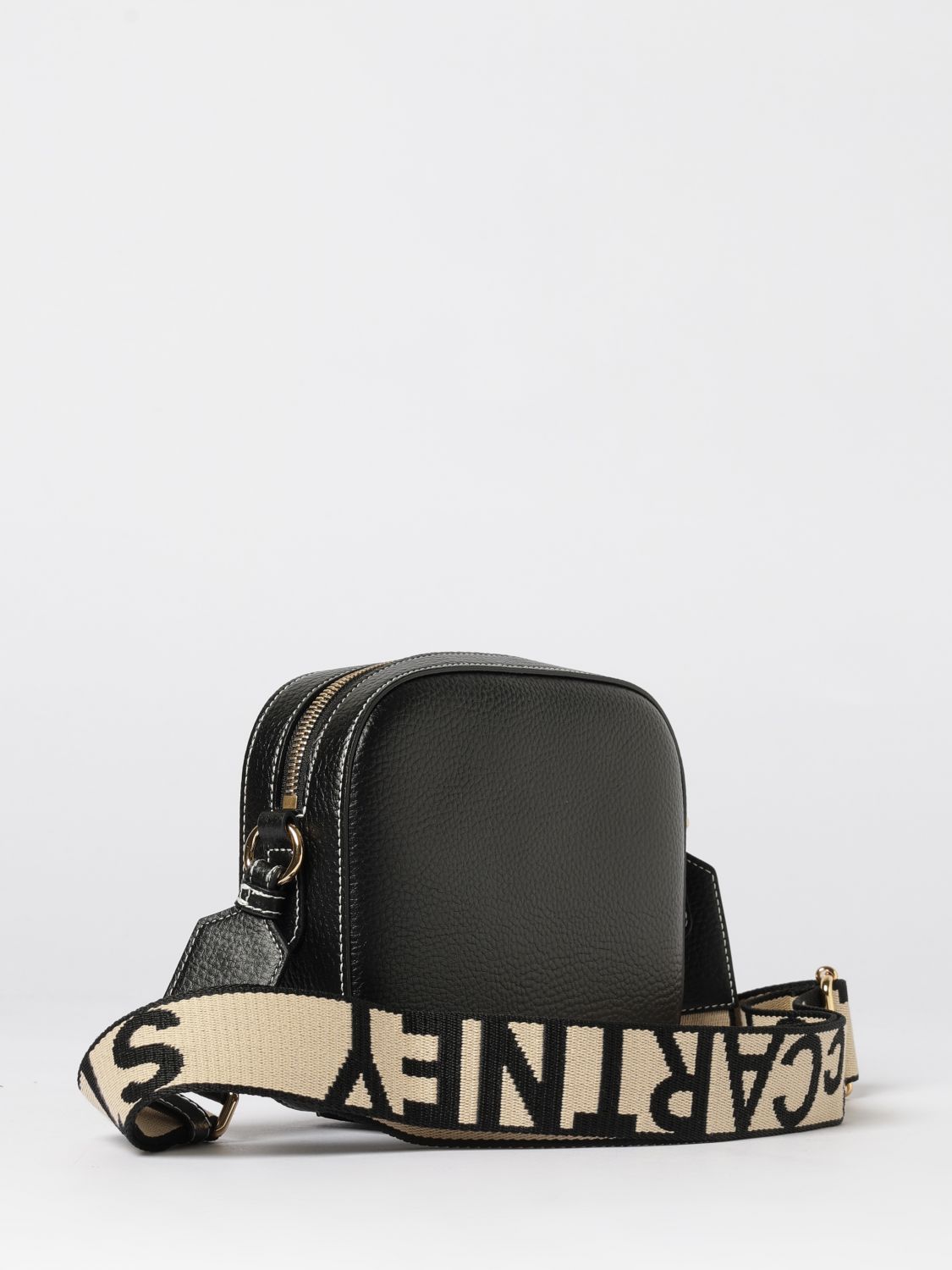 woman's mini bag