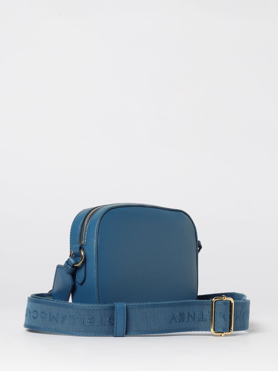 woman's mini bag