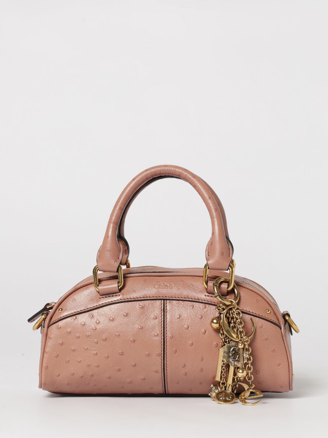 woman's handbag chloé