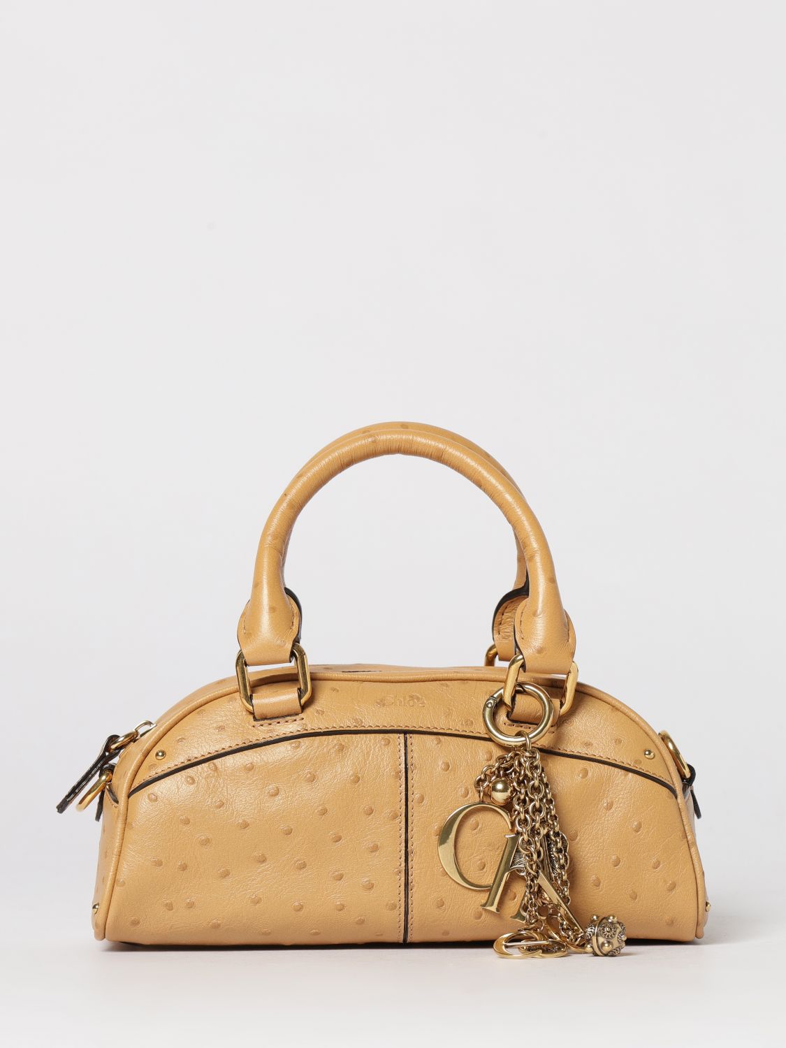 woman's handbag chloé