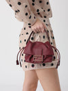 woman's mini bag