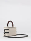 woman's mini bag