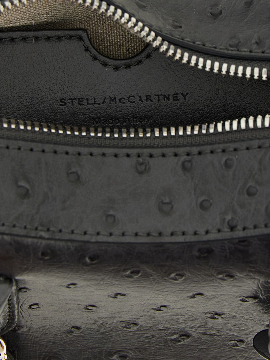 woman's handbag