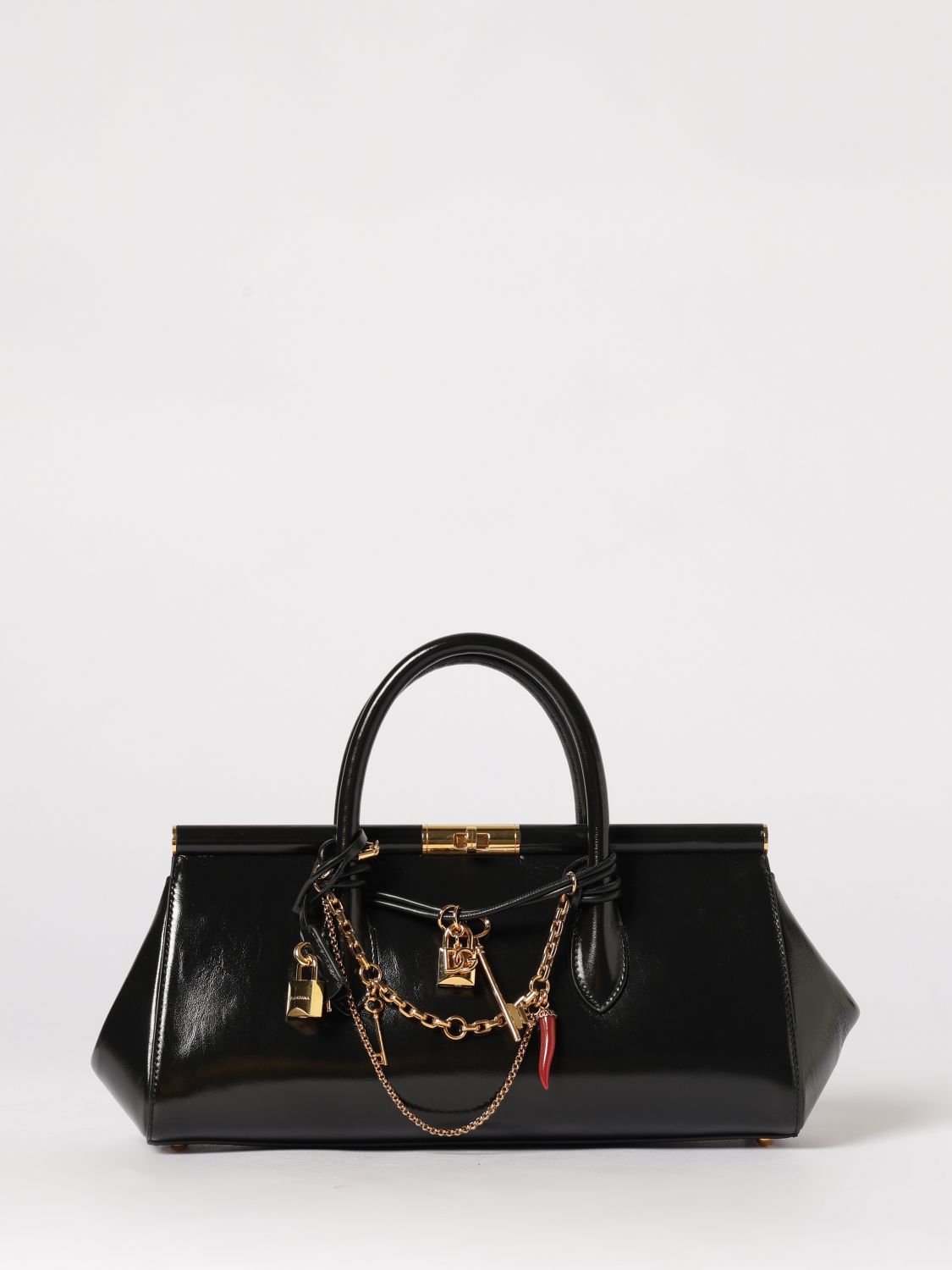 woman's handbag