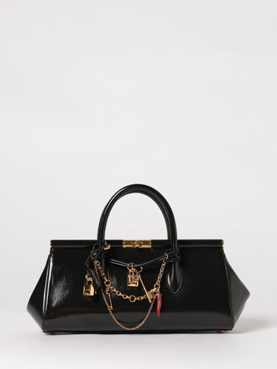 woman's handbag
