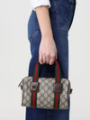 woman's handbag