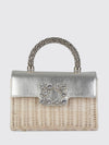 woman's mini bag